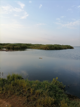 Using ‘T-Labs’ to find transformative pathways to equitable and sustainable utilisation of Kenya’s Yala and Kingwal wetlands